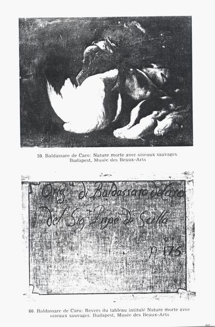 Anonimo — Baldassarre de Caro: Revers du tableau intitulé Nature morte avec oiseaux sauvages. Budapest, Musée des beaux-Arts — insieme